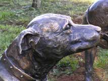 Bronze Betty