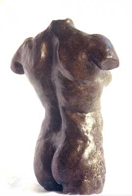 Torso